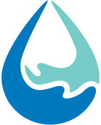 Image dls_store_logo